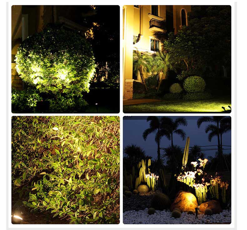 Solar Garden Light