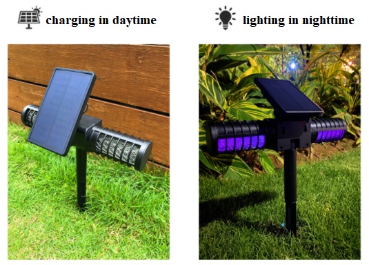 Solar Garden Light