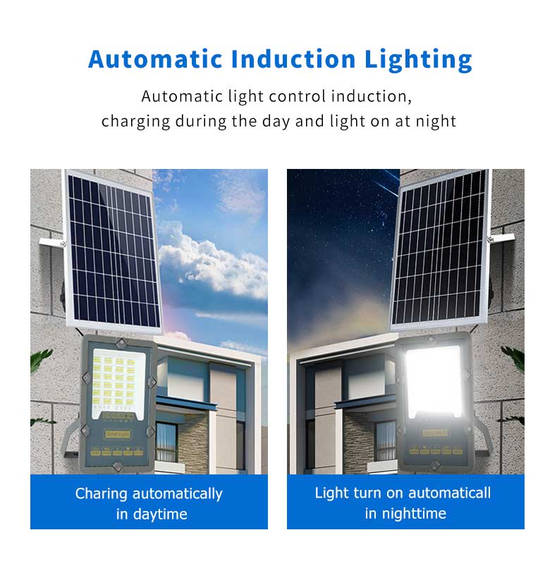 Solar Flood Light