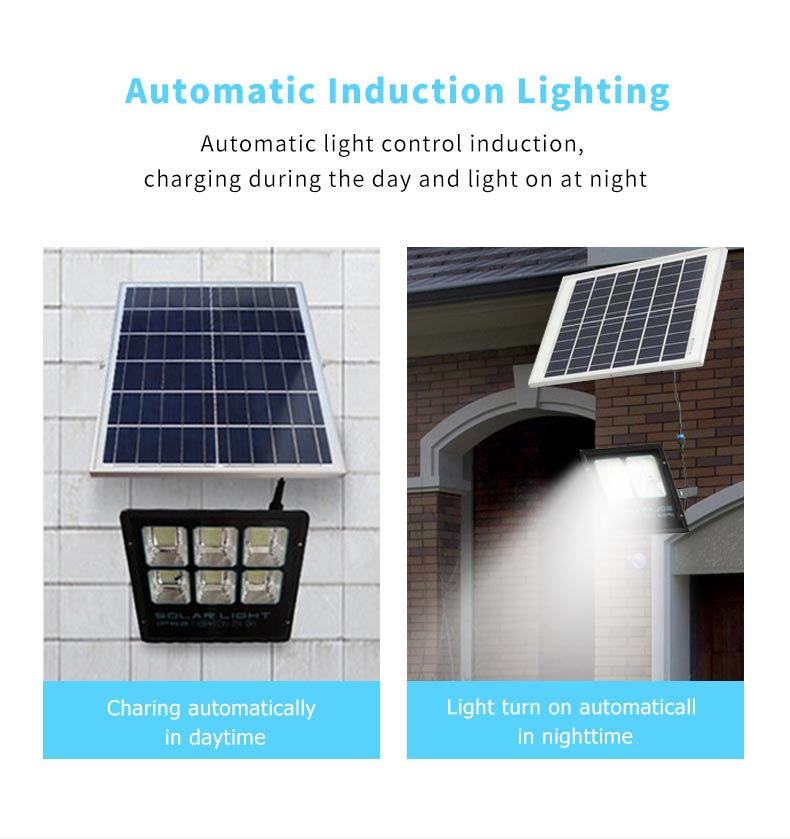 Solar Flood Light