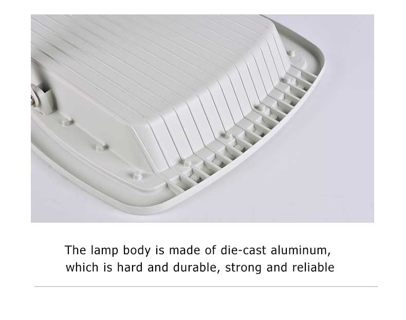 Solar Flood Light