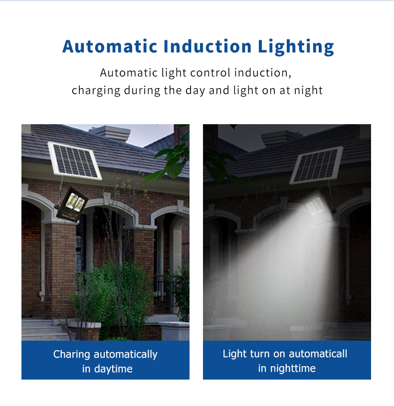 Solar Flood Light