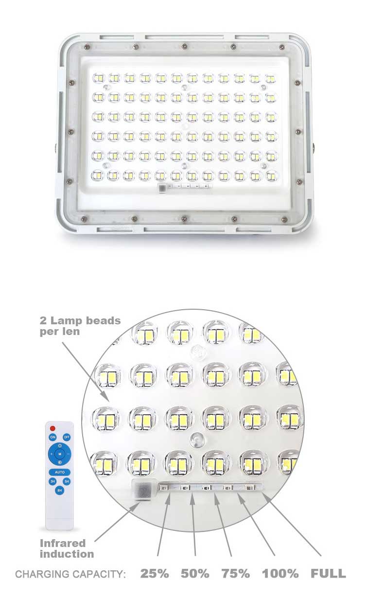 Solar Flood Light