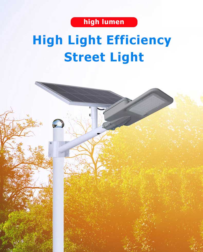 Project-type Solar Street Light