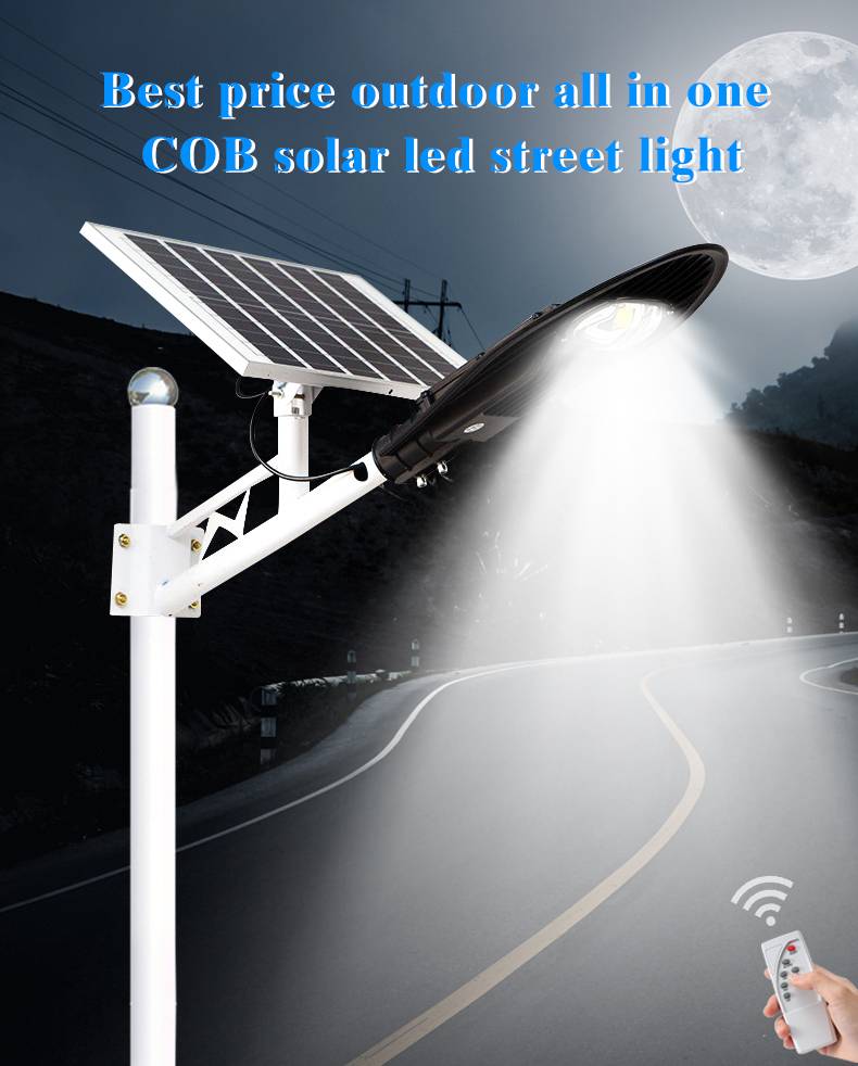 Split Solar Street Light