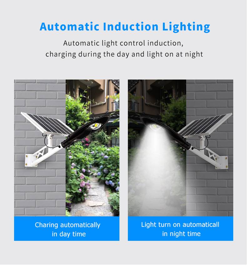 Split Solar Street Light